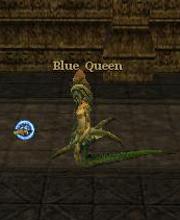 Blue Queen